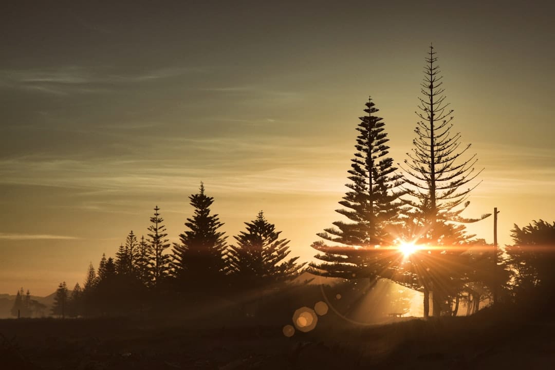 découvrez l'importance d'un environnement sain pour notre bien-être et la planète. apprenez des conseils pratiques pour adopter un mode de vie respectueux de l'écosystème et favoriser une nature préservée.