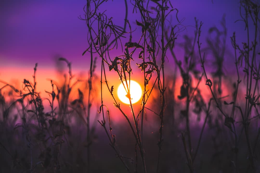 découvrez comment cultiver une énergie positive au quotidien grâce à des techniques inspirantes, des conseils pratiques et des astuces pour transformer votre esprit et votre environnement. boostez votre bien-être et accueillez la joie dans votre vie.