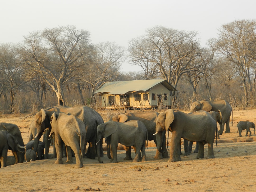 découvrez le tourisme durable, une approche respectueuse de l'environnement qui favorise la conservation des ressources tout en enrichissant les cultures locales. explorez des destinations responsables et apprenez comment voyager de manière éthique tout en soutenant les communautés et la biodiversité.