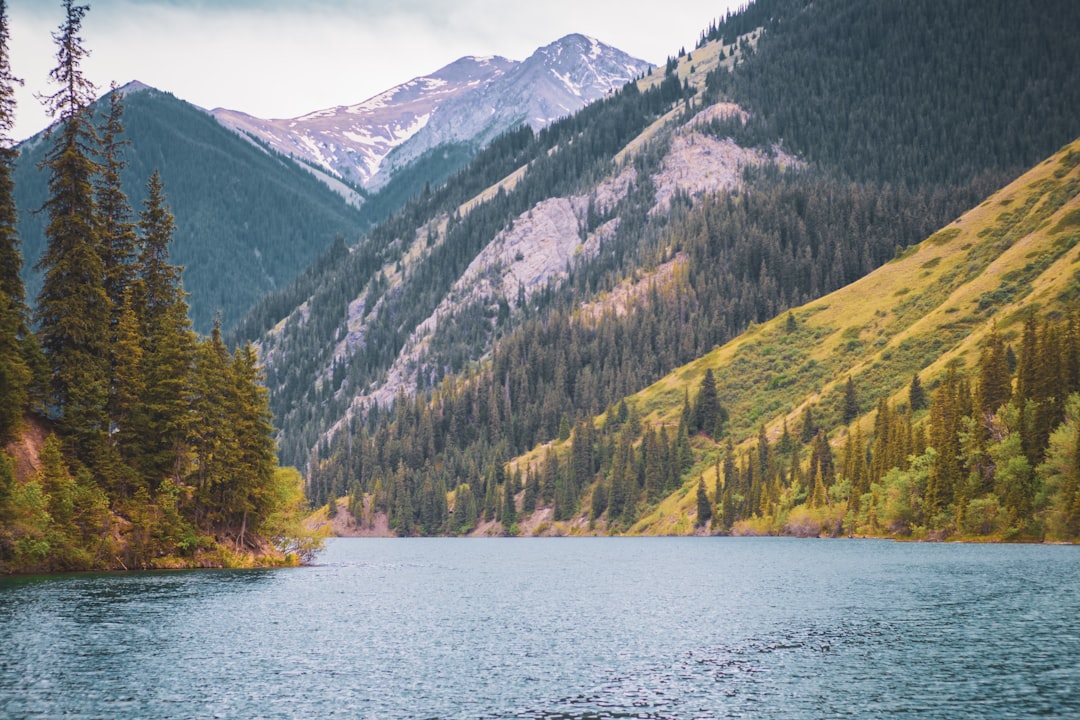 découvrez une évasion unique au cœur de la nature, où sérénité et aventure se rencontrent. partez pour une expérience revitalisante loin du tumulte urbain et reconnectez-vous avec l'environnement qui vous entoure.