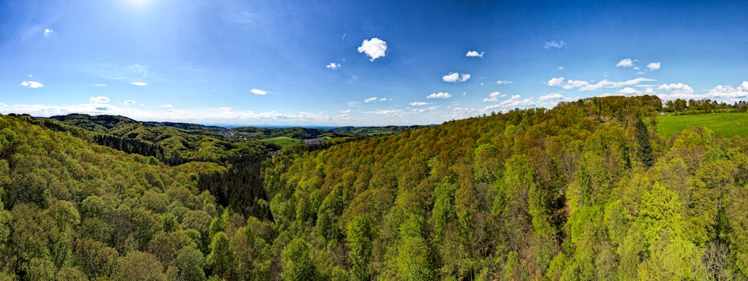 découvrez les principes d'un habitat durable, alliant écologie, confort et innovation. apprenez à créer un espace de vie respectueux de l'environnement et économiquement viable, tout en contribuant au bien-être de la planète.